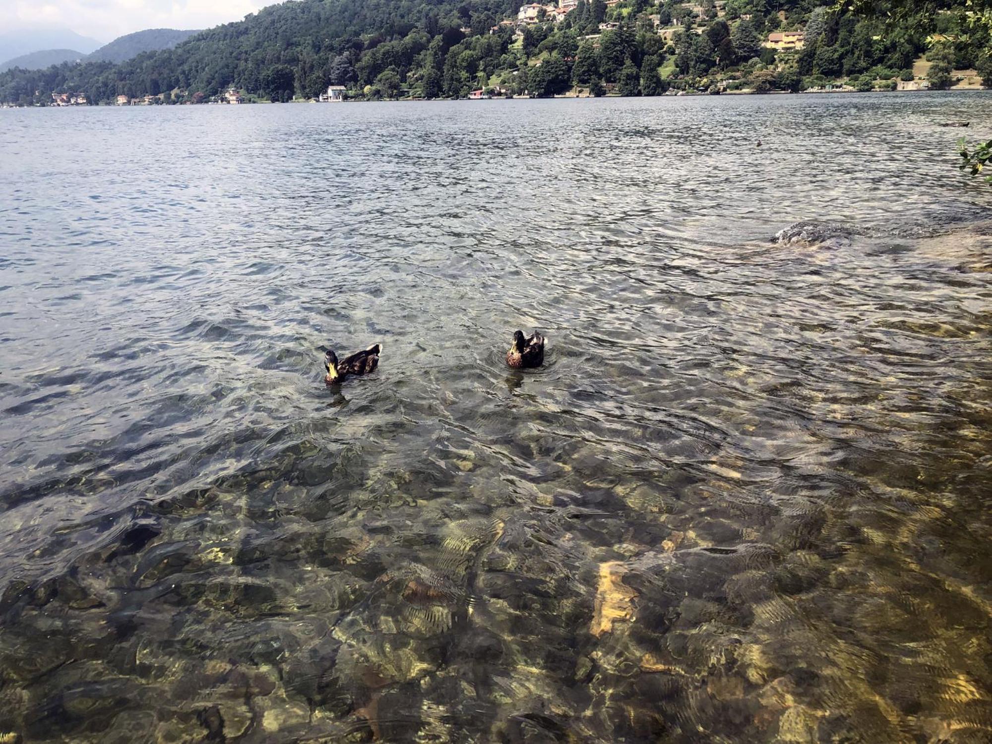 Appartamento Vacanze Al Lago Орта Сан Джулио Екстериор снимка