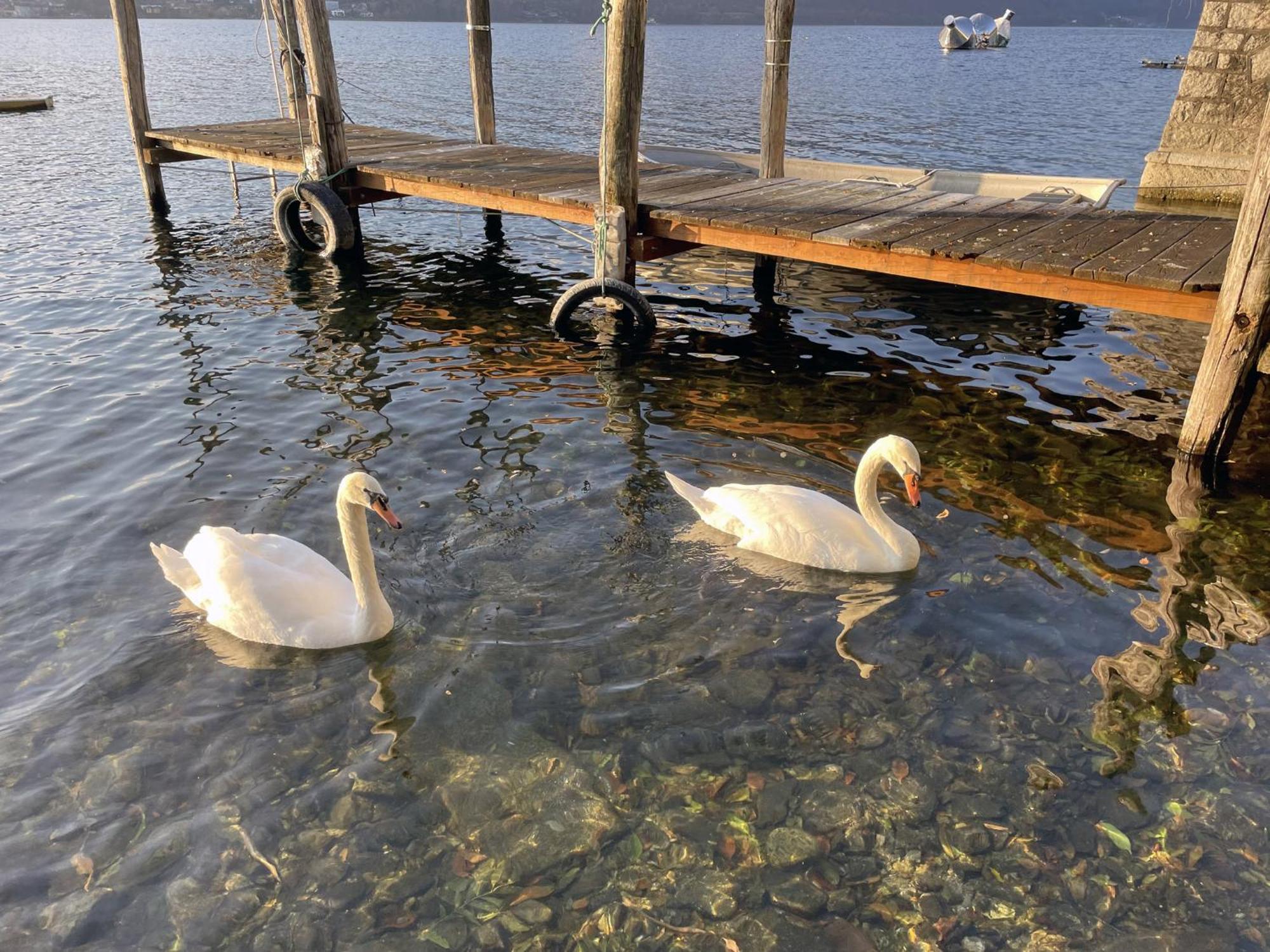 Appartamento Vacanze Al Lago Орта Сан Джулио Екстериор снимка